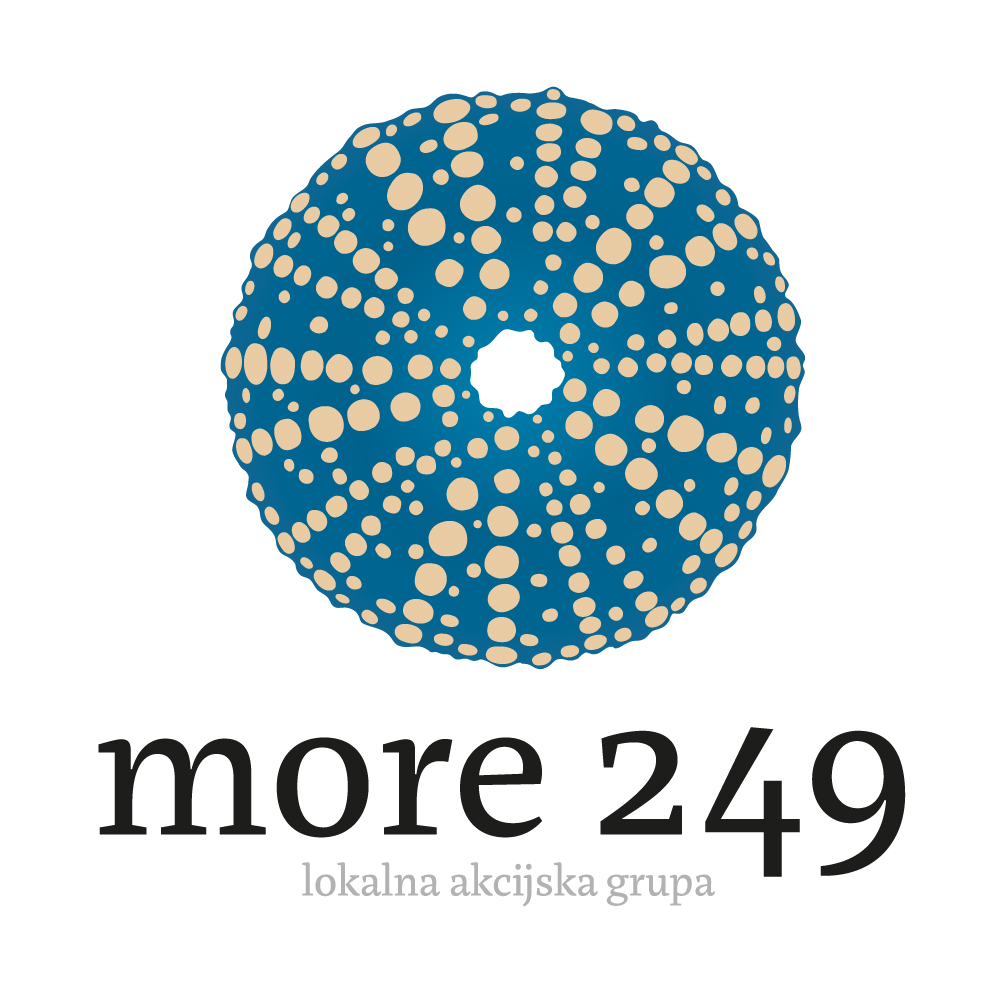 MORE249 logo